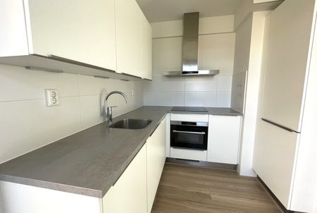 TE HUUR Grienderwaard - Photo 5