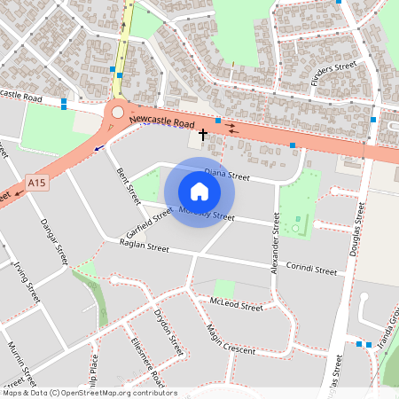 14 Moresby Street, Wallsend, NSW 2287