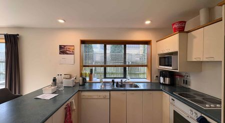 42D Hamilton Avenue, Ilam - Photo 3