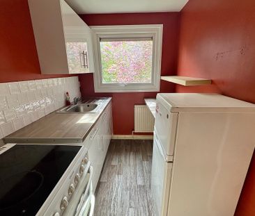 87 Aldam Road, S17 - Photo 3