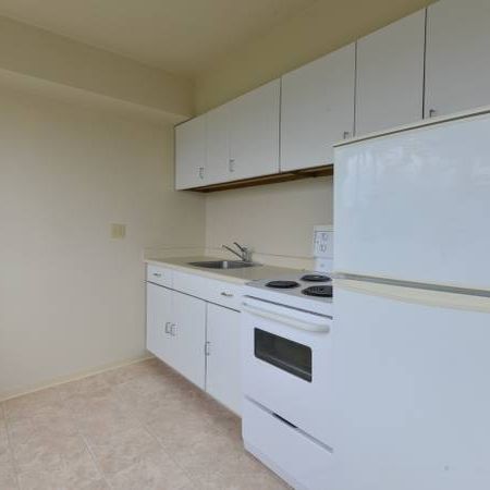 1 Bed, 1 Bath Apartment in Kitsilano - Photo 4