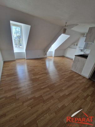 Location Appartement 2 pièces 29m² BRIVE LA GAILLARDE 19100 - Photo 1