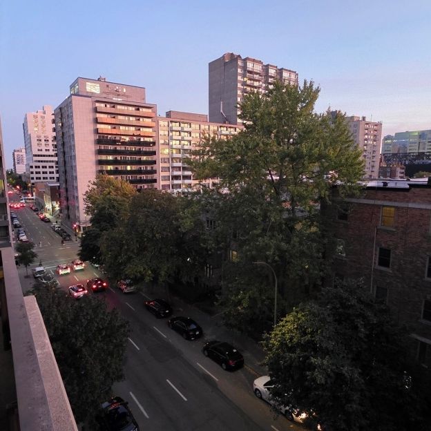 Appartement à louer - Montréal (Ville-Marie) (Centre Ouest) - Photo 1