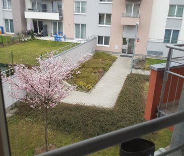 Pronájem bytu 1+kk 30 m2 - Photo 4