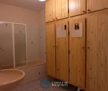 Location Appartement 1 pièce 36m² ORLEANS 45000 - Photo 5