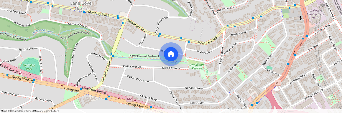 10 Roslyn Street, NSW 2066, Lane Cove