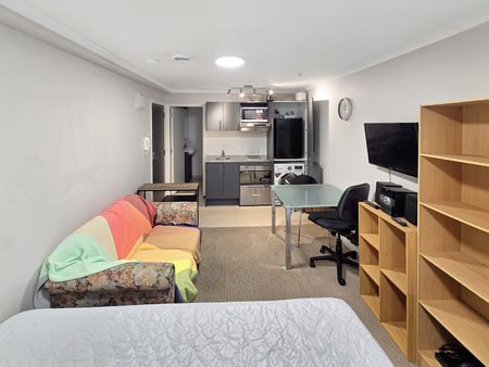 Te Aro Living! - Photo 4