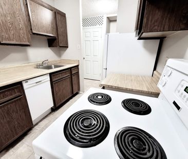 Mainstreet Mews Apartments - Photo 5