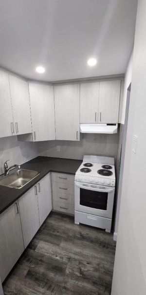 1 CH - 1 SDB - Montréal - $1,250 /mo - Photo 1