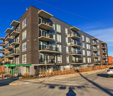 apartments at 3569 Dutch Village Road - Photo 1