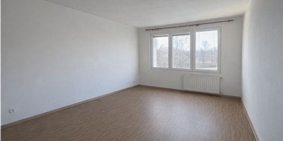 Pronájem bytu 1+1 42 m² - Fotografie 3