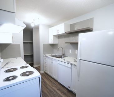 AMAZING newly reno'd Apartment in Lacombe! CATS OK! - Photo 2