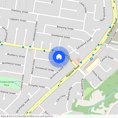 20 Quintinia Street, Qld 4115, Algester