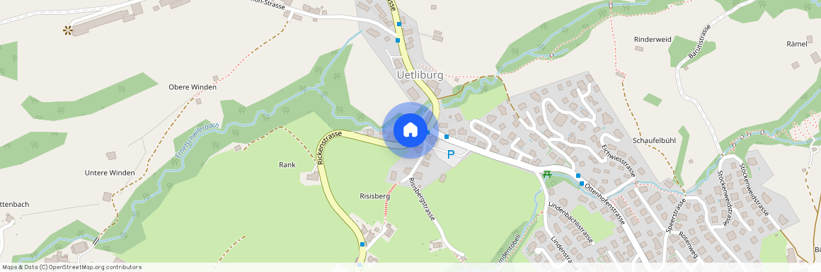 8738, Uetliburg SG, Rickenstrasse, 123a