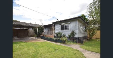 CUTE AND COMPACT - Photo 2