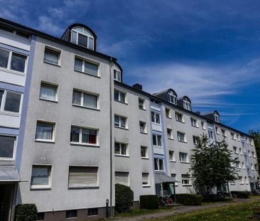 Im Grünen und offen - Foto 1