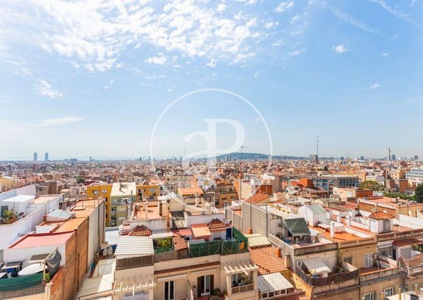 Barcelona, Catalonia 08024