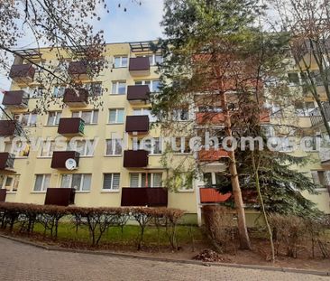 Mieszkanie na wynajem 32,30 m² Białystok, Dziesięciny, Kalinowa - Zdjęcie 5