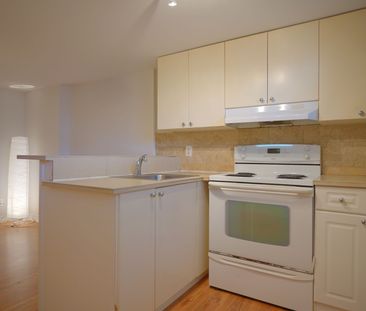 For Lease - 37 Brookfield Street Unit# Basement, Toronto, Ontario - Photo 3