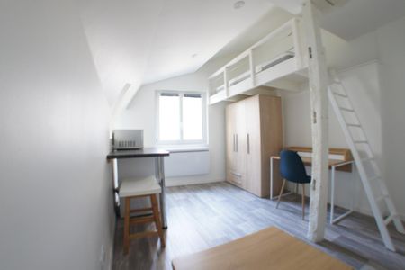 Location Appartement 1 pièce Meublé 17m² ANGERS 49100 - Photo 2
