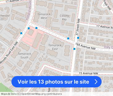 Tamarack East & West - Photo 1