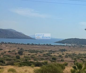 Μονοκατοικία για ενοικίαση Ανάβυσσος Κέντρο (Ανάβυσσος) - Photo 1