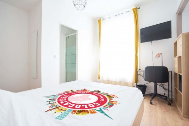 Garibaldi Roommate 5 Bedrooms at Lille - Photo 1