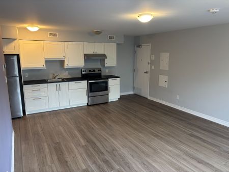 For Lease - 2622 Stevensville Road Unit# 3, Fort Erie, Ontario - Photo 5