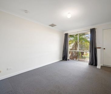 Neat and tidy - Photo 1