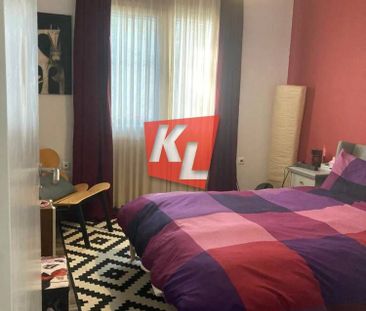 Μονοκατοικία για ενοικίαση Νέα Κηφισιά (Κηφισιά) - Φωτογραφία 4