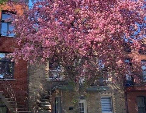 À louer / Appartement - Photo 1