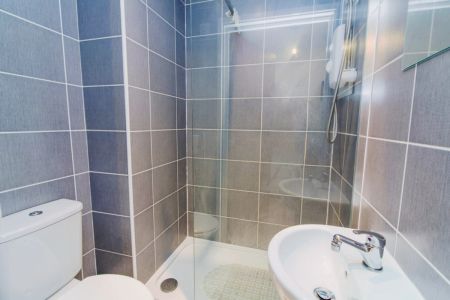 Silver Studio - Photo 5