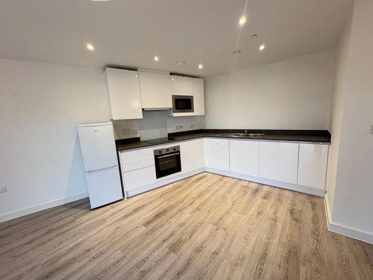 ERASMUS DRIVE - Photo 1