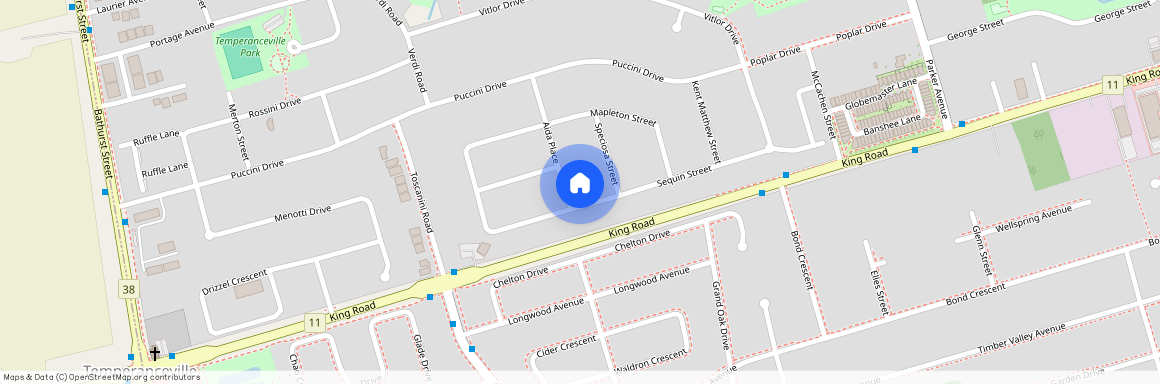 142 Seguin Street, Richmond Hill