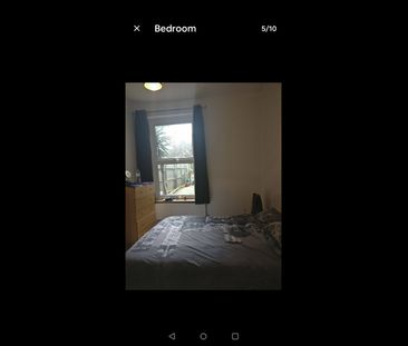 Room in a Shared Flat, Newlands Park, SE26 - Photo 3