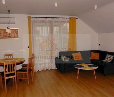 005MW Chełmiec, bezczynszowe mieszkanie na wynajem, pow. 80 m2, I p... - Photo 4
