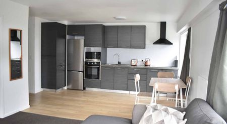 Spacious, Light-Filled Furnished Apartment - Photo 2