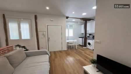 1-bedroom apartment for rent in Embajadores, Madrid - Photo 5