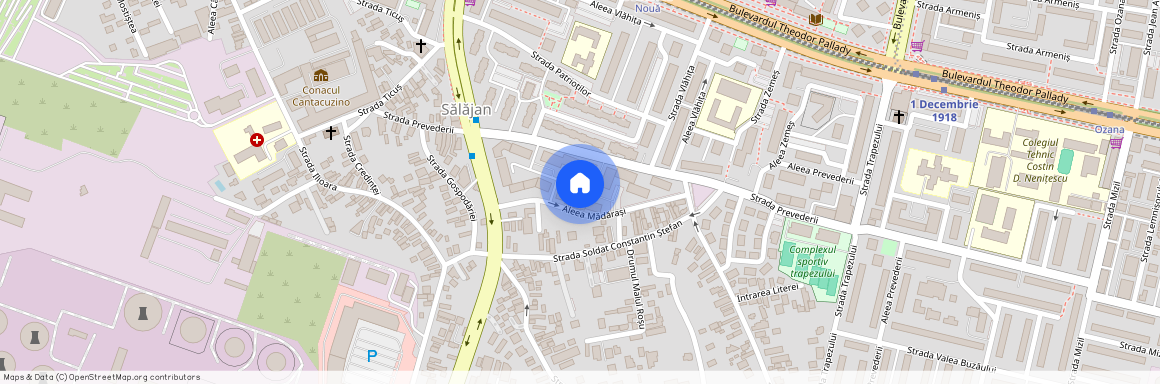 Nicolae Grigorescu, Bucuresti