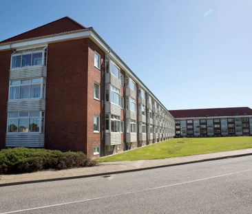 Lindholm - Voerbjergvej m.fl. - Foto 6