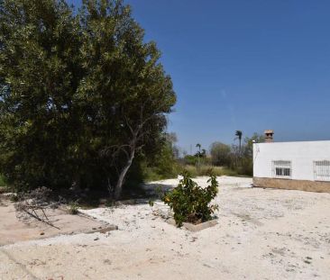 Elche / Elx - Photo 6