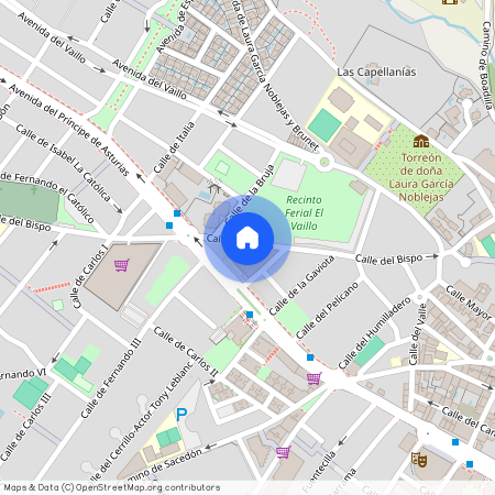 Villaviciosa De Odón