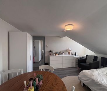 Te huur: Kamer Kasteel Schaloenstraat in Maastricht - Photo 1