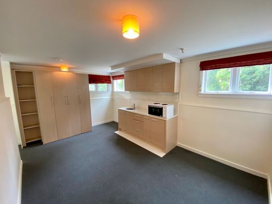 1 Bedroom Large Split Villa - New Lynn - Photo 1