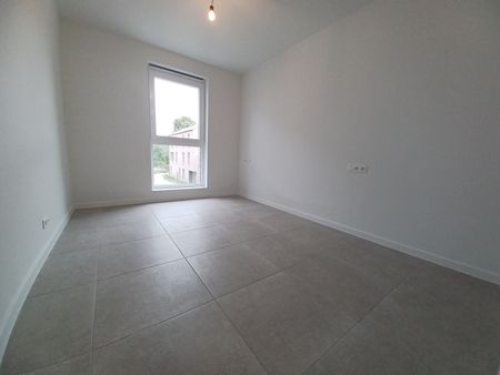 Appartement te huur in Gavere - Photo 4