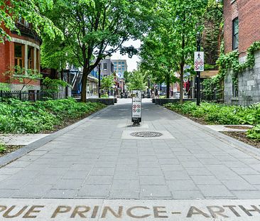 Condo for rent, Montréal (Le Plateau-Mont-Royal) - Photo 1