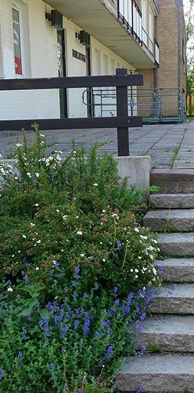 Oxelvägen 1 C - Foto 1