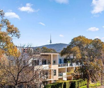Lowanna St - architectural award winning apartment - Photo 6