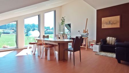 Magnifique villa meublée 8,5p / 6 chambres + Studio / jardin - piscine - Foto 5