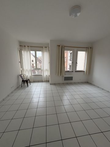 Location Appartement 2 pièces 51m² STRASBOURG 67000 - Photo 2